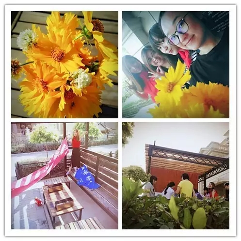 網(wǎng)勢(shì)科技6周歲生日快樂！