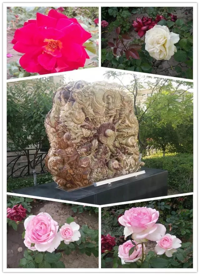 網(wǎng)勢(shì)科技6周歲生日快樂！